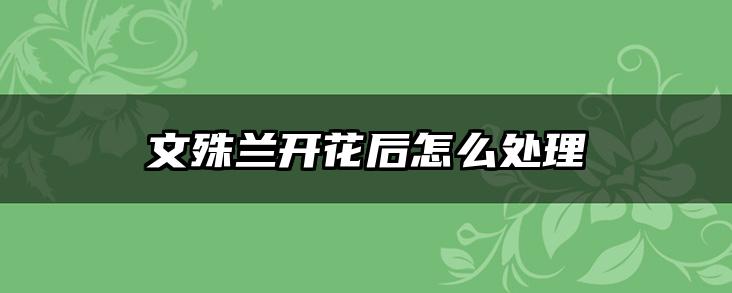 文殊兰开花后怎么处理