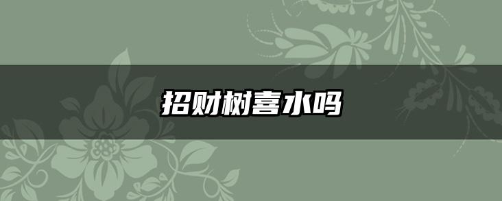 招财树喜水吗