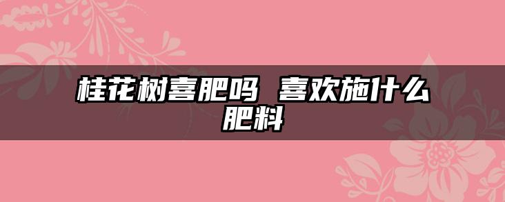 桂花树喜肥吗 喜欢施什么肥料