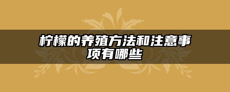 柠檬的养殖方法和注意事项有哪些
