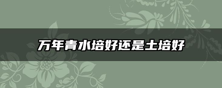 万年青水培好还是土培好
