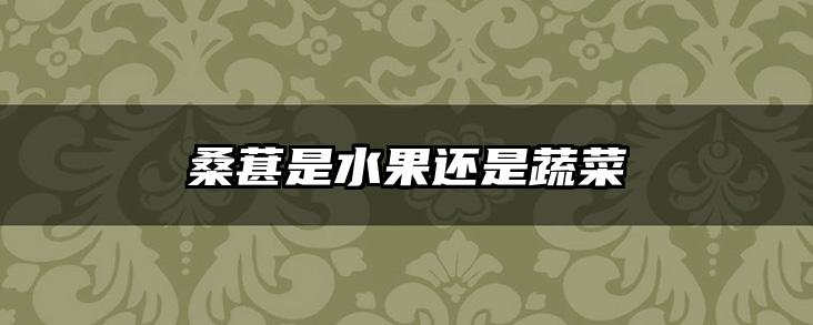 桑葚是水果还是蔬菜
