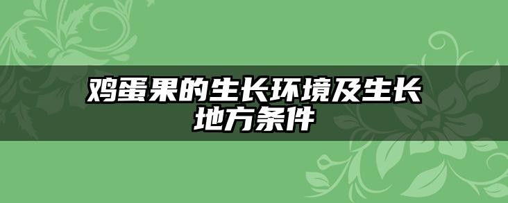 鸡蛋果的生长环境及生长地方条件