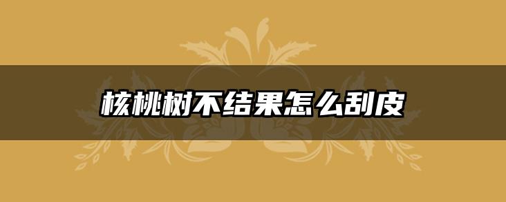 核桃树不结果怎么刮皮