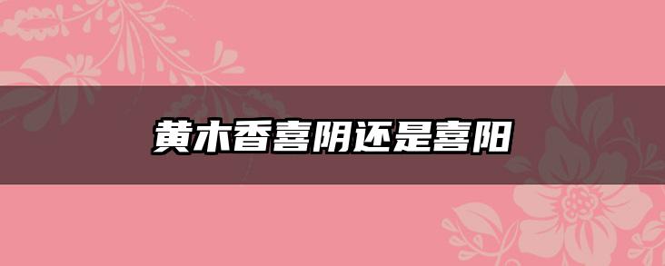 黄木香喜阴还是喜阳