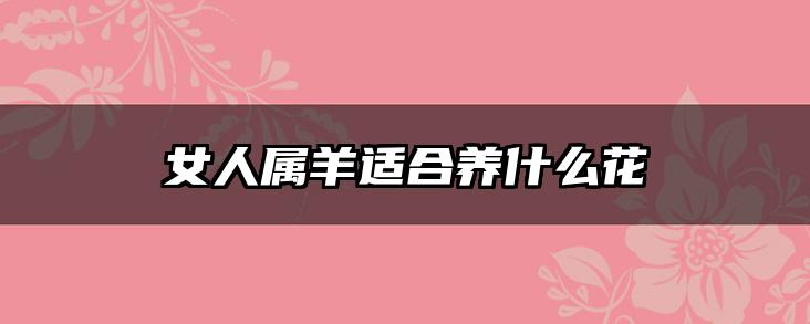 女人属羊适合养什么花
