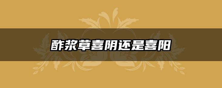 酢浆草喜阴还是喜阳