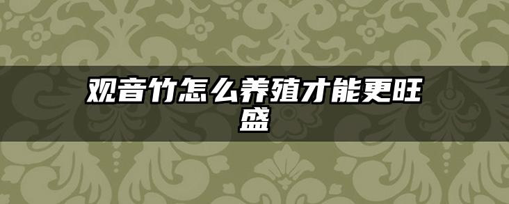 观音竹怎么养殖才能更旺盛
