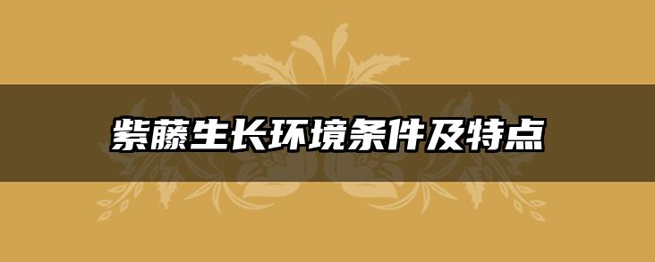 紫藤生长环境条件及特点