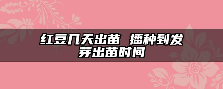 红豆几天出苗 播种到发芽出苗时间