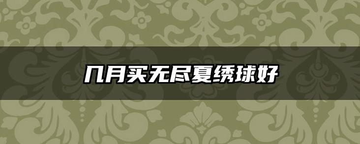 几月买无尽夏绣球好