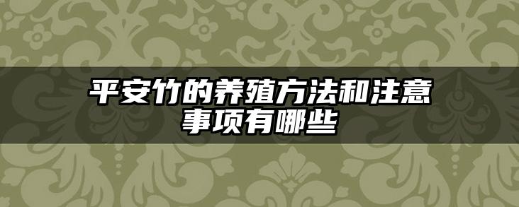 平安竹的养殖方法和注意事项有哪些