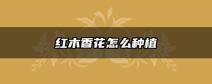 红木香花怎么种植