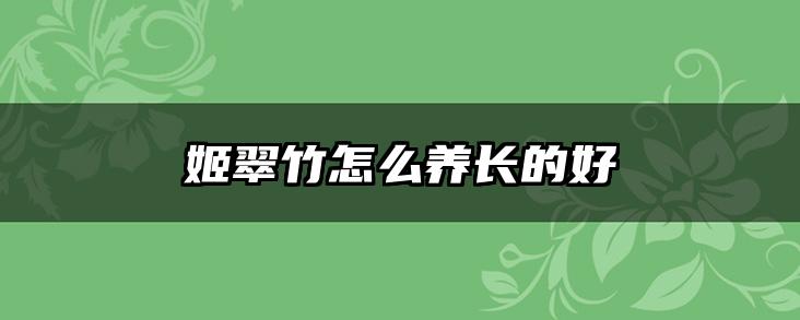 姬翠竹怎么养长的好