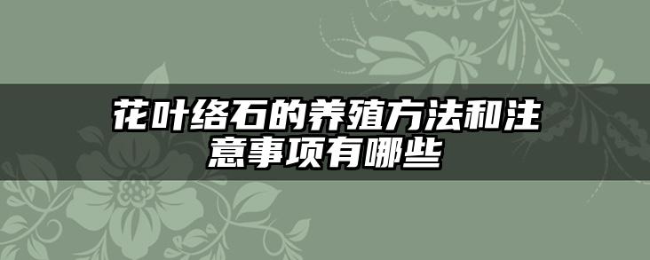 花叶络石的养殖方法和注意事项有哪些
