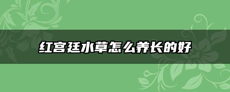 红宫廷水草怎么养长的好