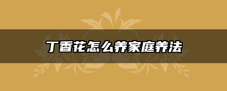丁香花怎么养家庭养法