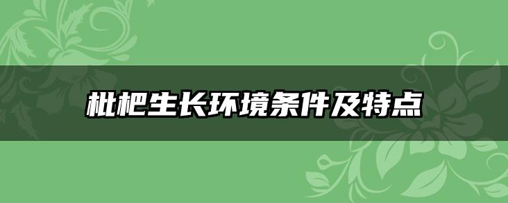 枇杷生长环境条件及特点