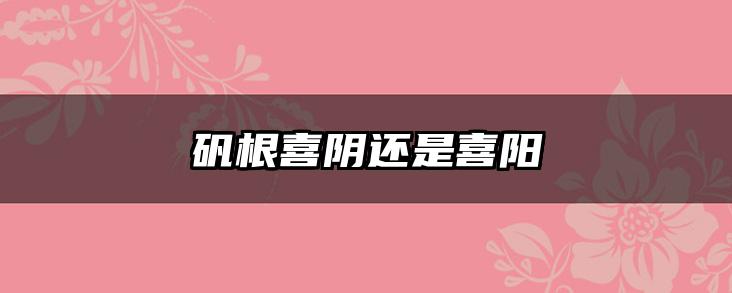 矾根喜阴还是喜阳