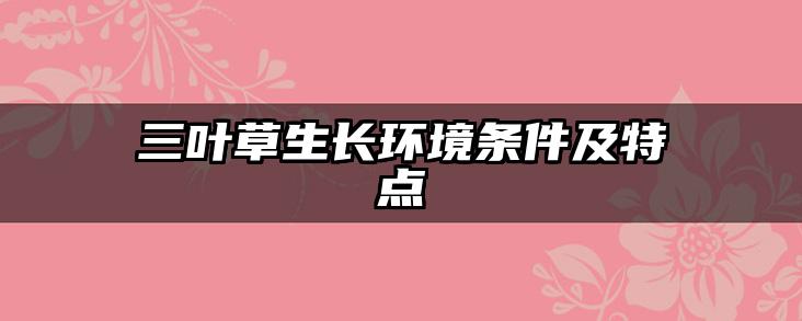 三叶草生长环境条件及特点