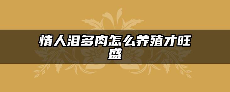 情人泪多肉怎么养殖才旺盛