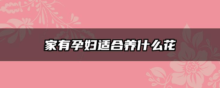 家有孕妇适合养什么花
