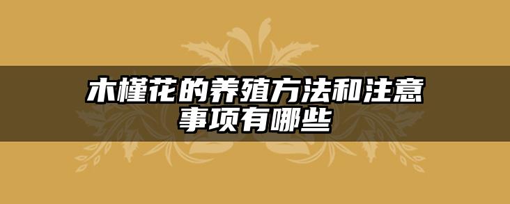 木槿花的养殖方法和注意事项有哪些