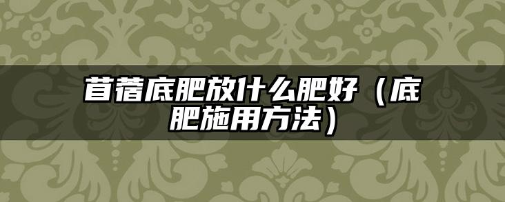 苜蓿底肥放什么肥好(底肥施用方法)