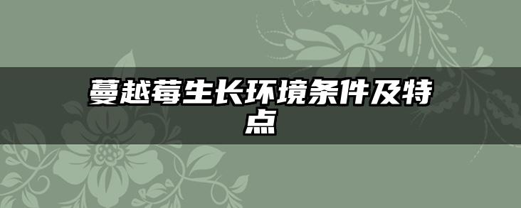 蔓越莓生长环境条件及特点
