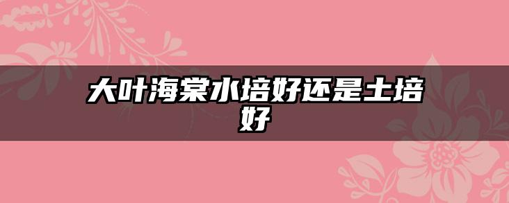 大叶海棠水培好还是土培好