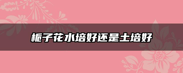 栀子花水培好还是土培好