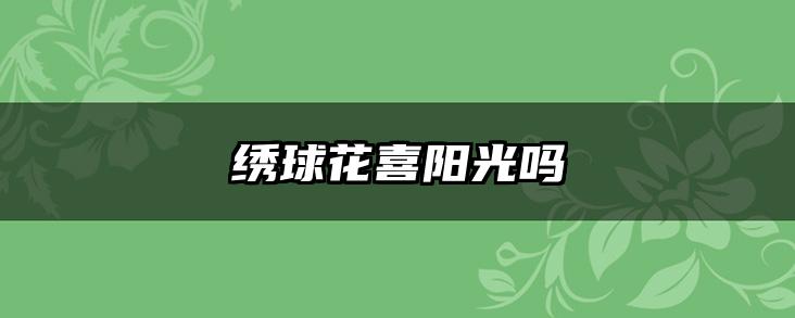 绣球花喜阳光吗