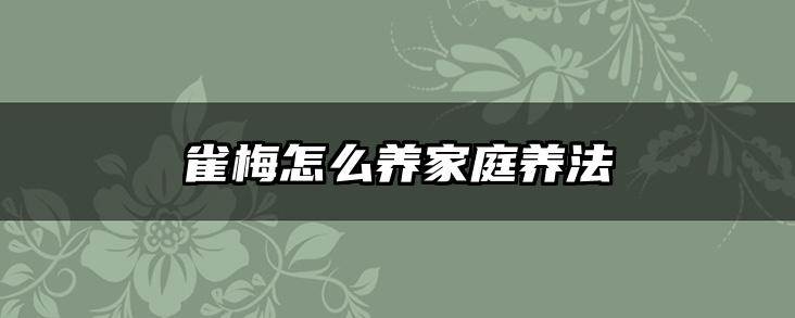 雀梅怎么养家庭养法