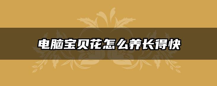 电脑宝贝花怎么养长得快