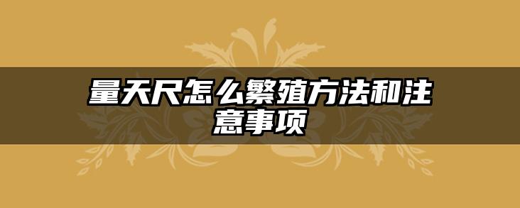 量天尺怎么繁殖方法和注意事项