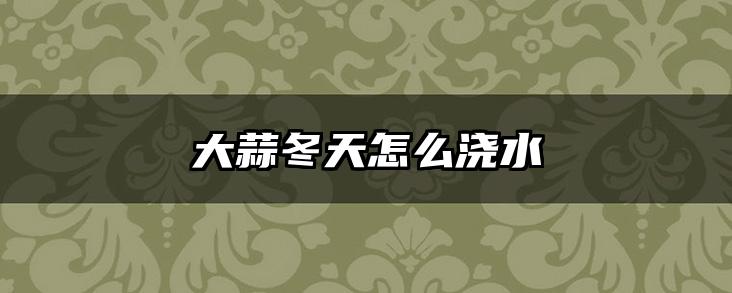 大蒜冬天怎么浇水
