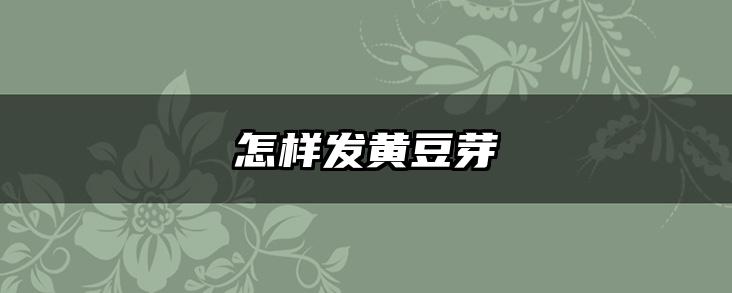 怎样发黄豆芽