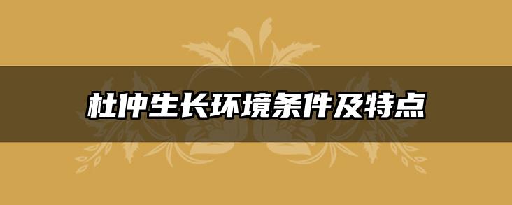 杜仲生长环境条件及特点