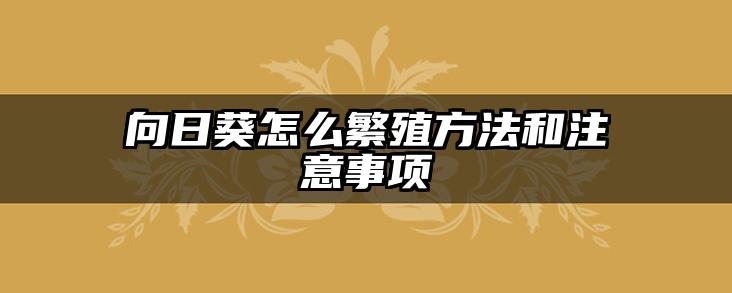 向日葵怎么繁殖方法和注意事项