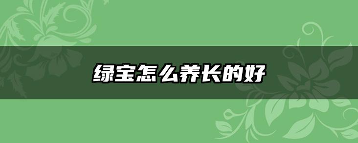 绿宝怎么养长的好