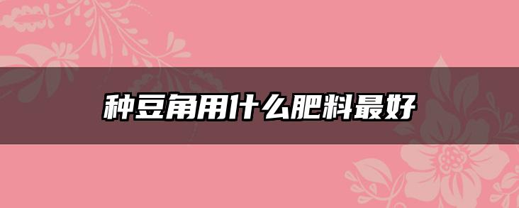种豆角用什么肥料最好