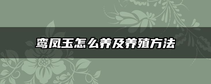 鸾凤玉怎么养及养殖方法