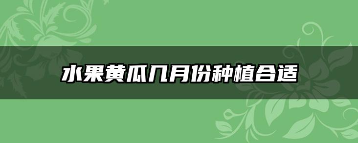 水果黄瓜几月份种植合适
