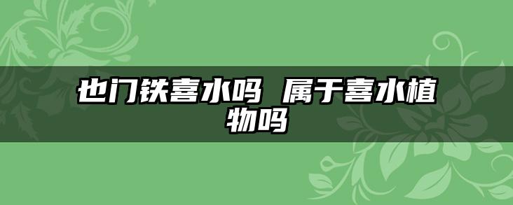 也门铁喜水吗 属于喜水植物吗