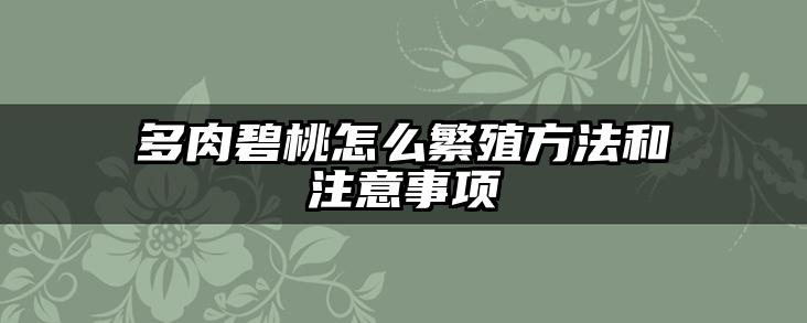 多肉碧桃怎么繁殖方法和注意事项