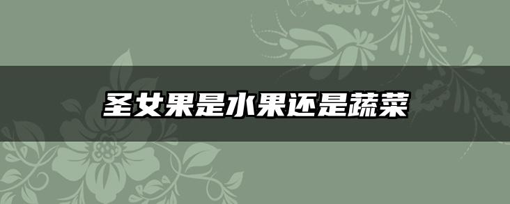 圣女果是水果还是蔬菜