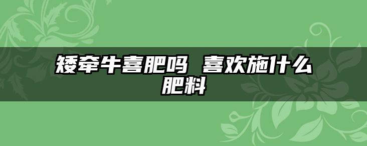 矮牵牛喜肥吗 喜欢施什么肥料