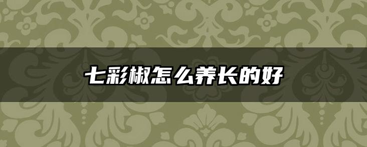 七彩椒怎么养长的好