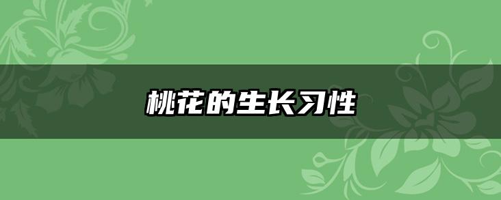 桃花的生长习性