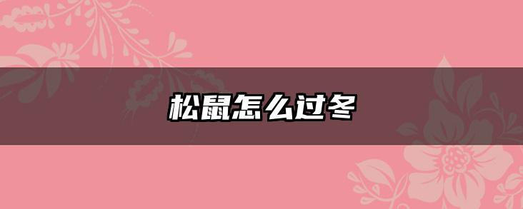 松鼠怎么过冬